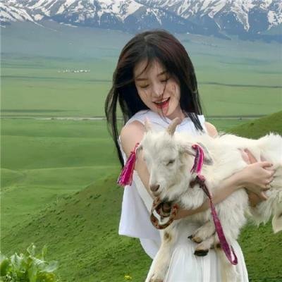矢在弦上第一季